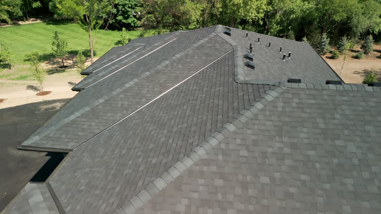 Best Roof Ventilation Installation  in Battle Creek, NE